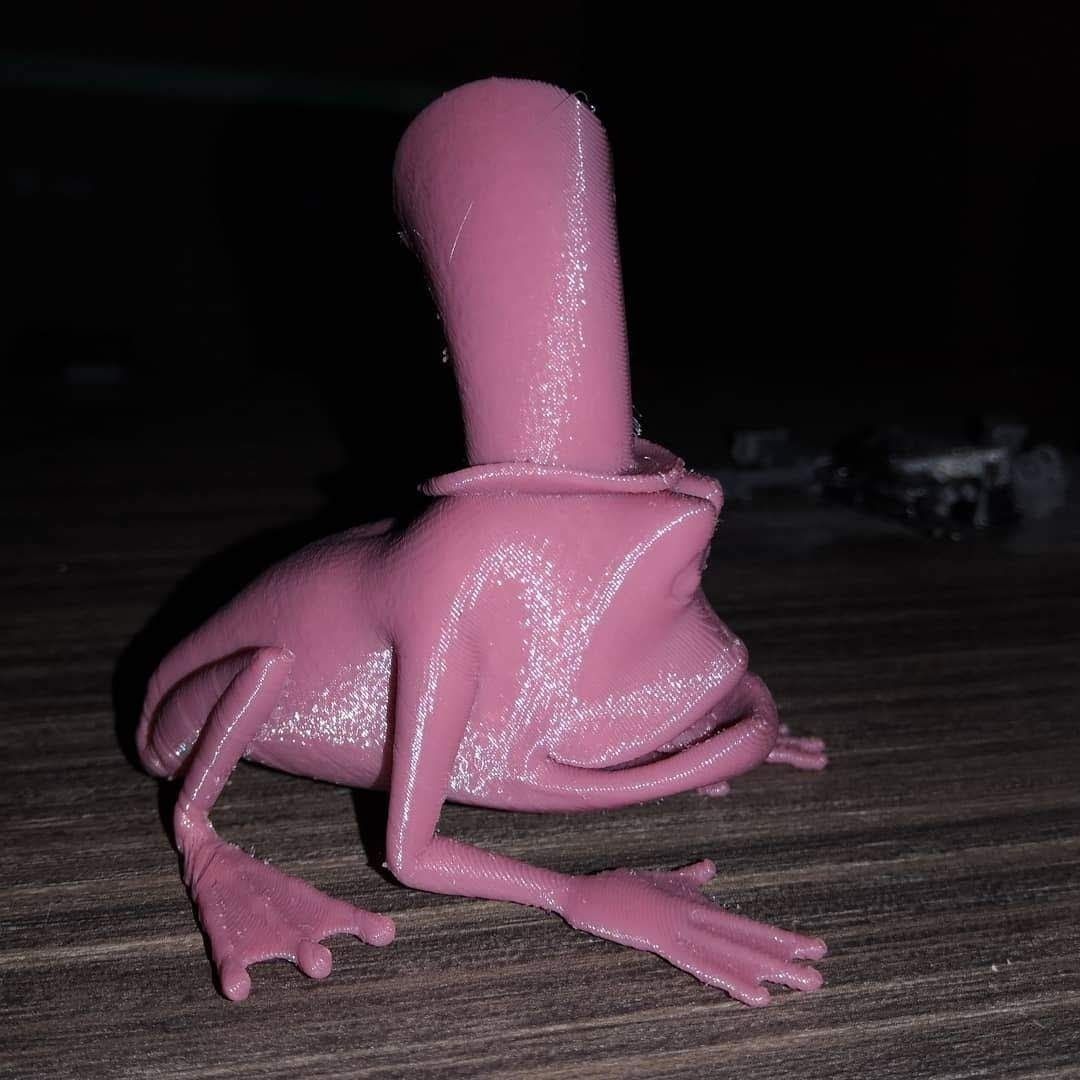 Michigan J Frog 3D print model_4