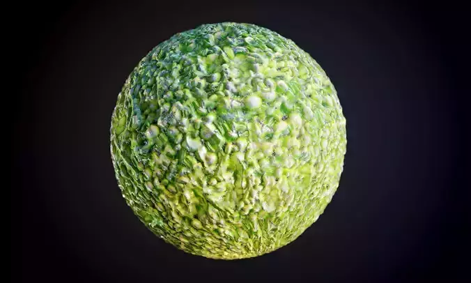 Food Cucumber Seamless PBR Texture
