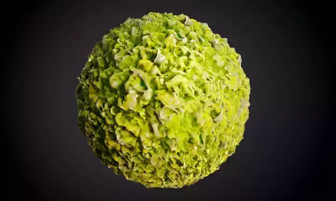 Food Lettuce Salad Seamless PBR Texture