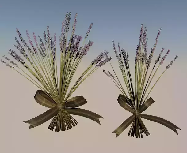 2 sizes Lavander with bow tie country decor style