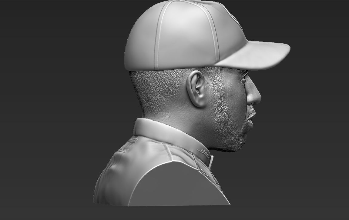 Lewis Hamilton bust ready for full color 3D printing 3D print model_36
