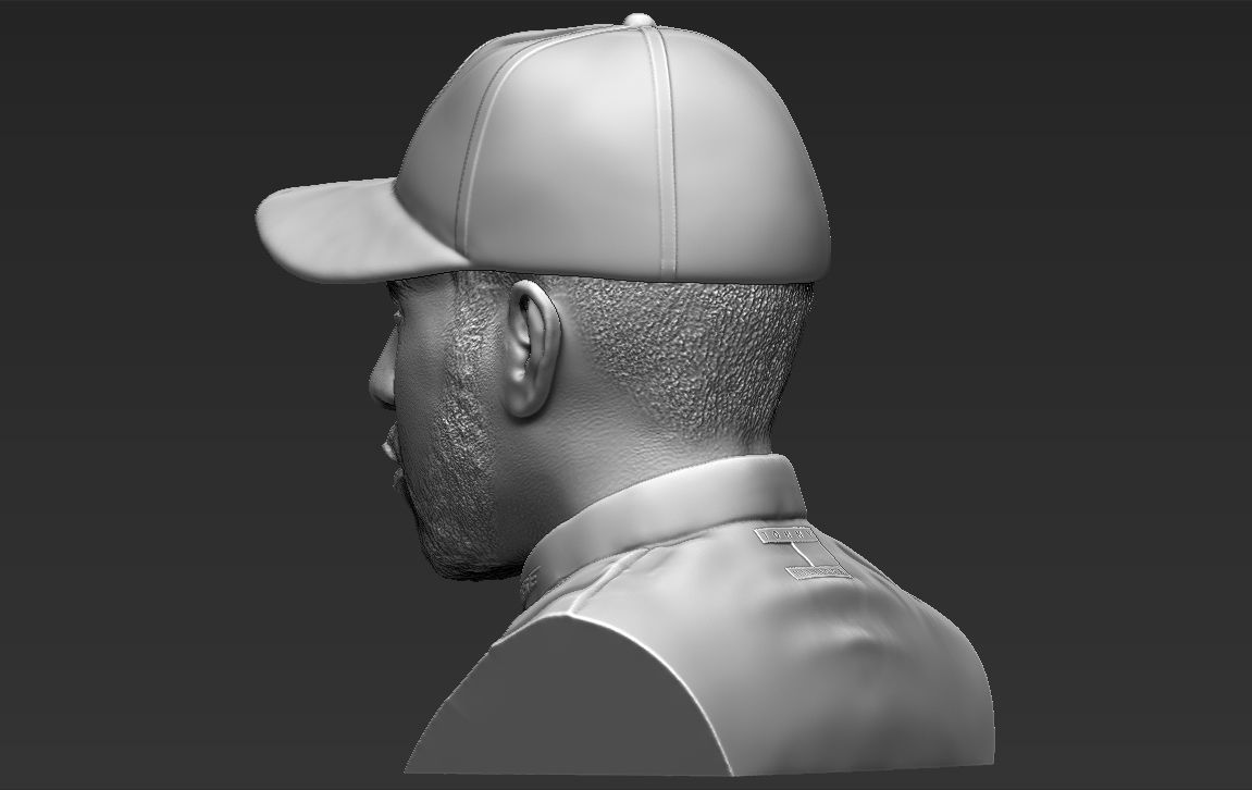 Lewis Hamilton bust ready for full color 3D printing 3D print model_30