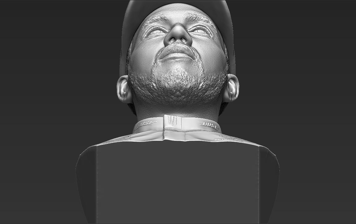 Lewis Hamilton bust ready for full color 3D printing 3D print model_54