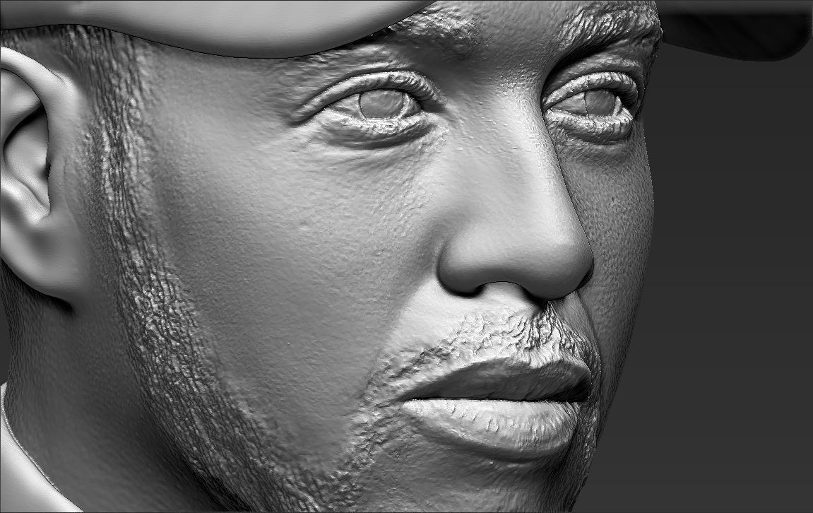 Lewis Hamilton bust ready for full color 3D printing 3D print model_48
