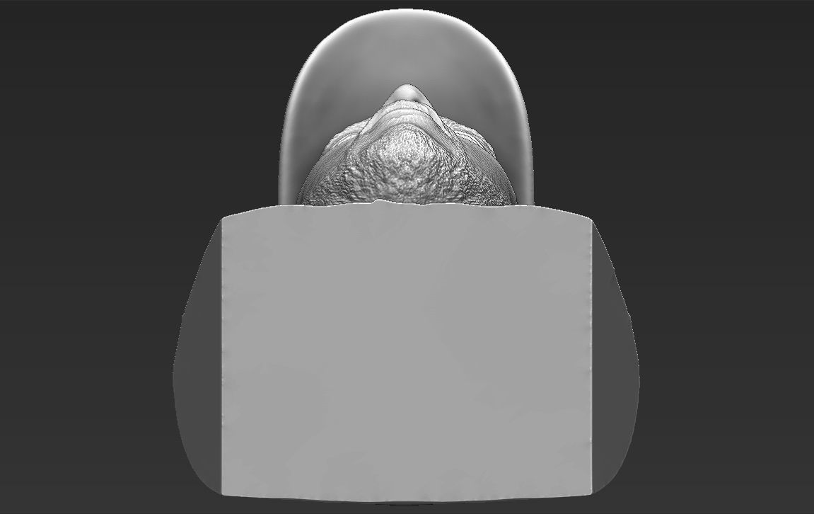 Lewis Hamilton bust ready for full color 3D printing 3D print model_55