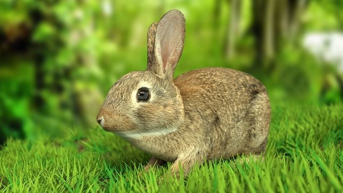Rigged Rabbit Low-poly 3D model
