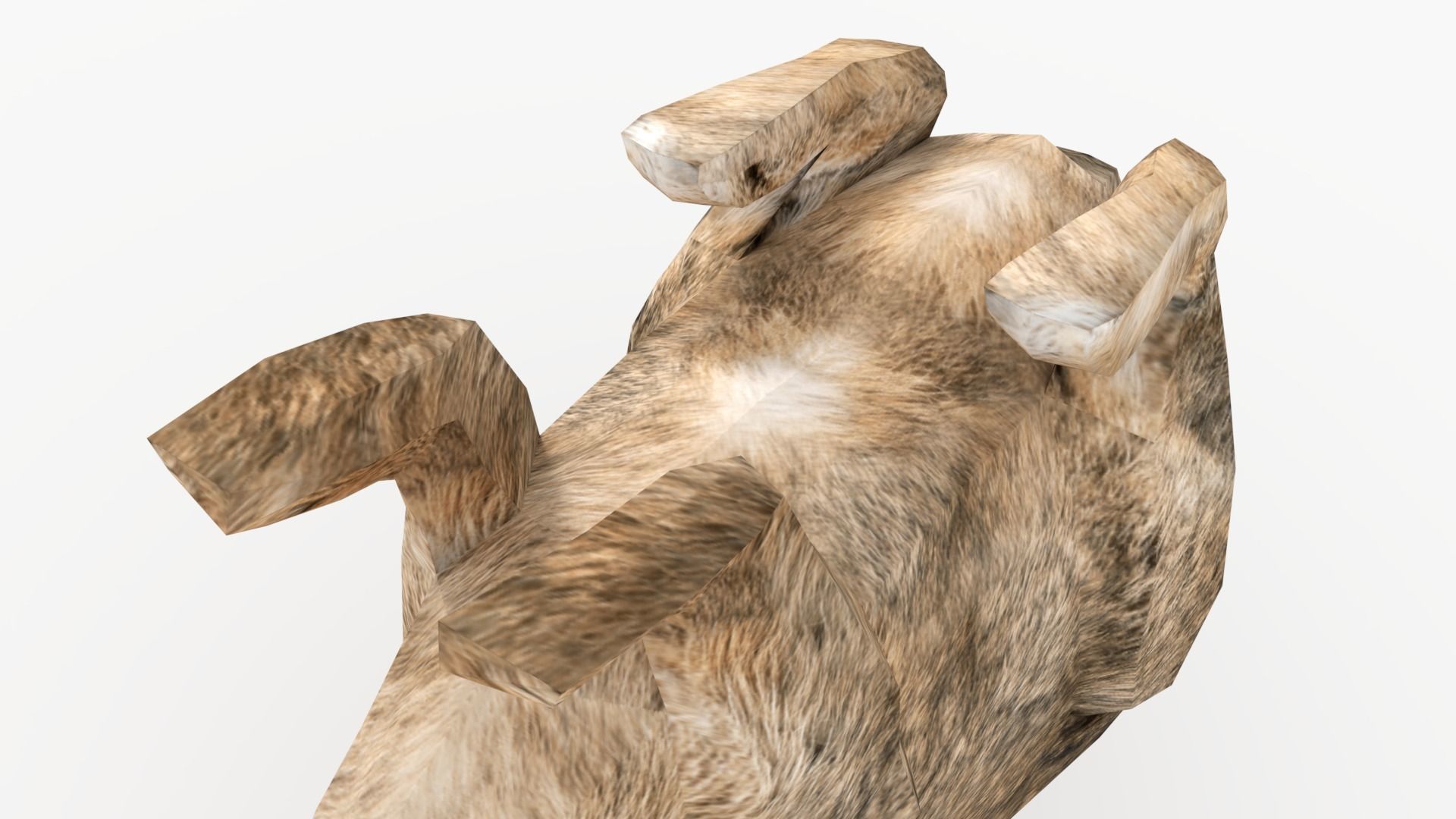 Rigged Rabbit Low-poly 3D model_9