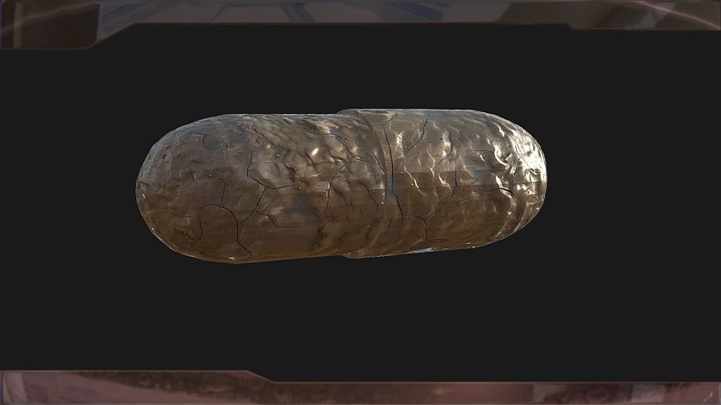 MEDIC PACK Low-poly 3D model_9