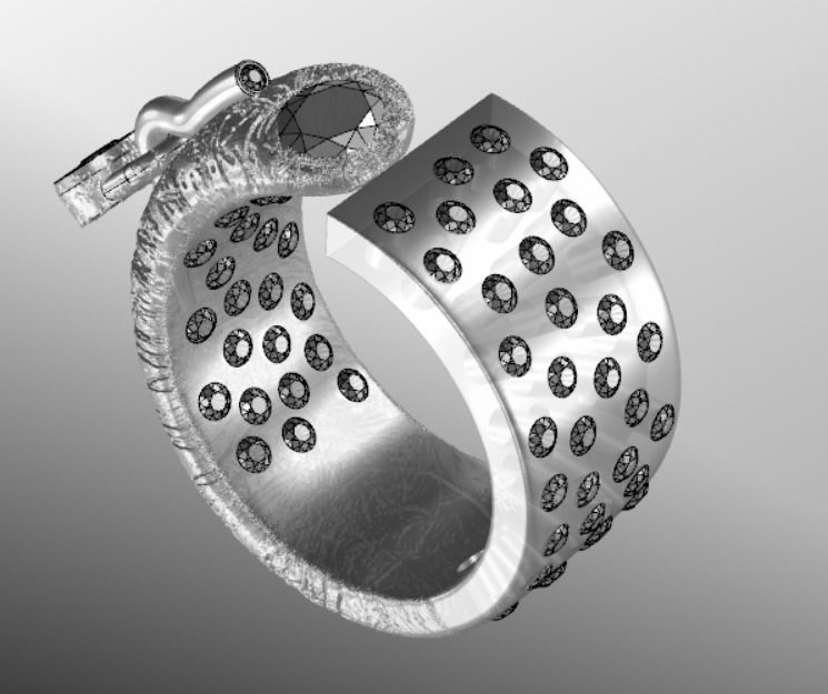 Ring ak 2 3D print model_15