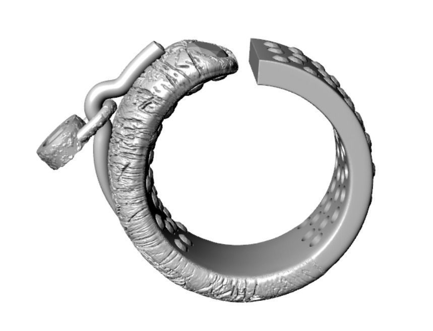 Ring ak 2 3D print model_21