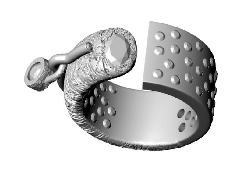 Ring ak 2 3D print model_25