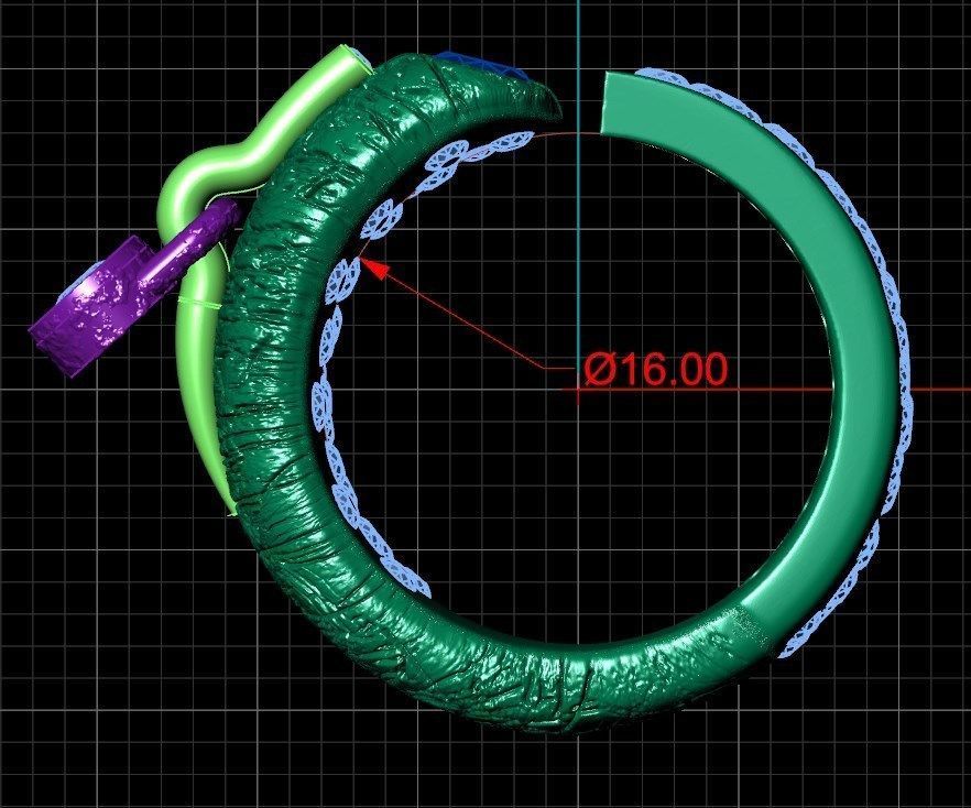 Ring ak 2 3D print model_6