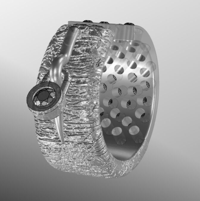 Ring ak 2 3D print model_16