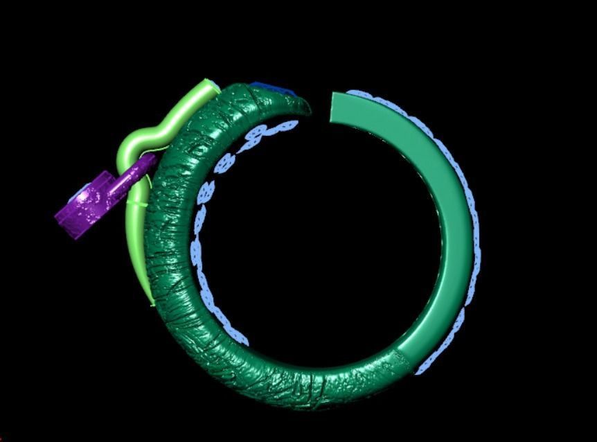 Ring ak 2 3D print model_12