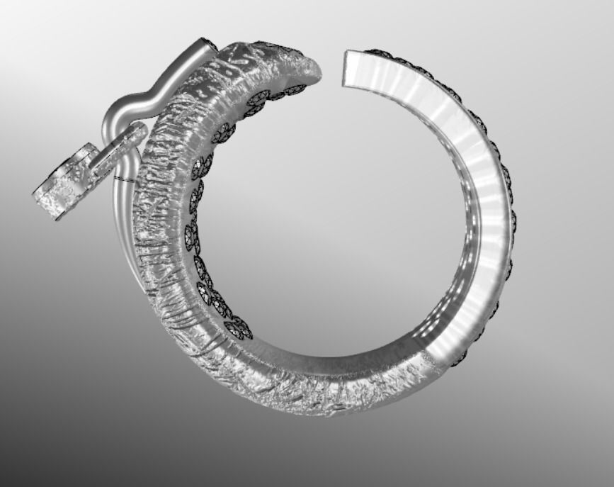 Ring ak 2 3D print model_17