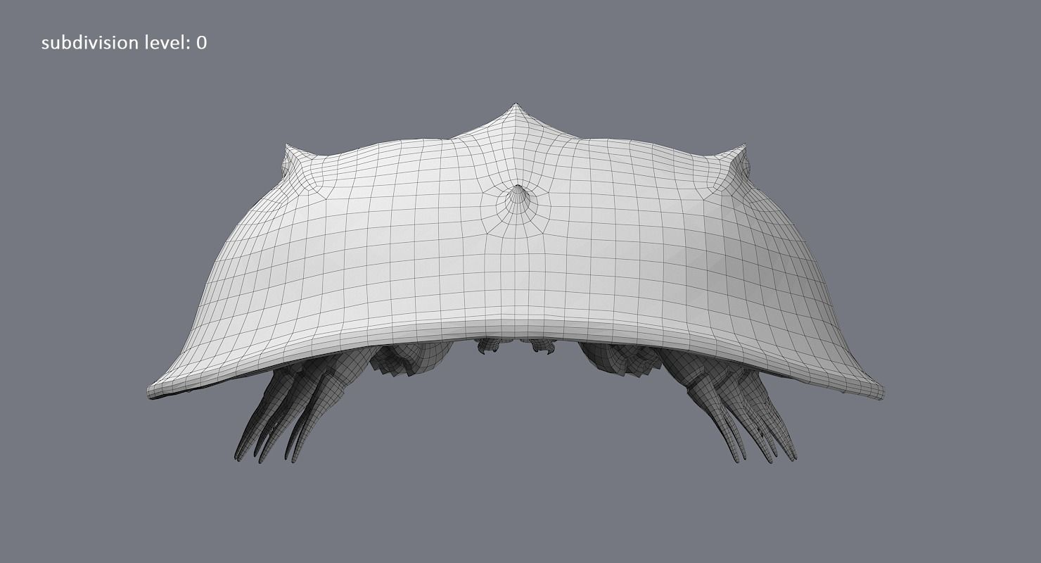 Horseshoe Crab 3D model_26