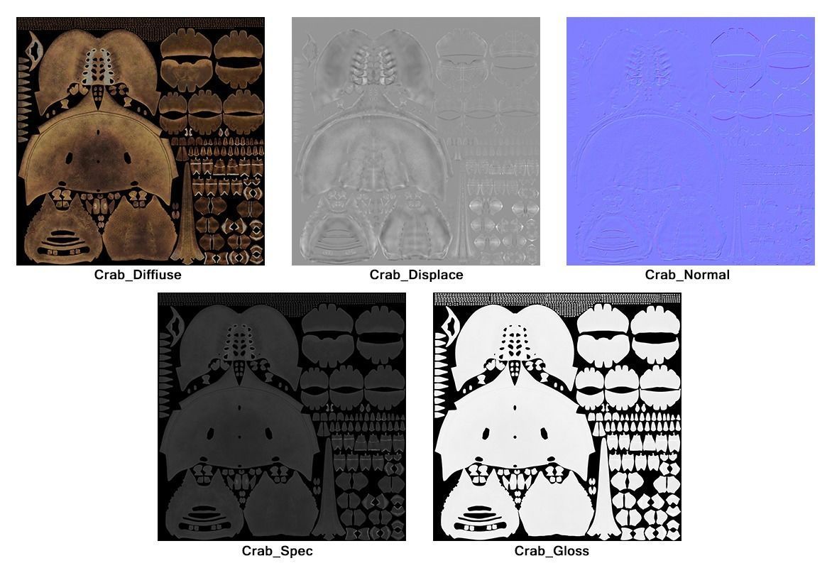 Horseshoe Crab 3D model_43