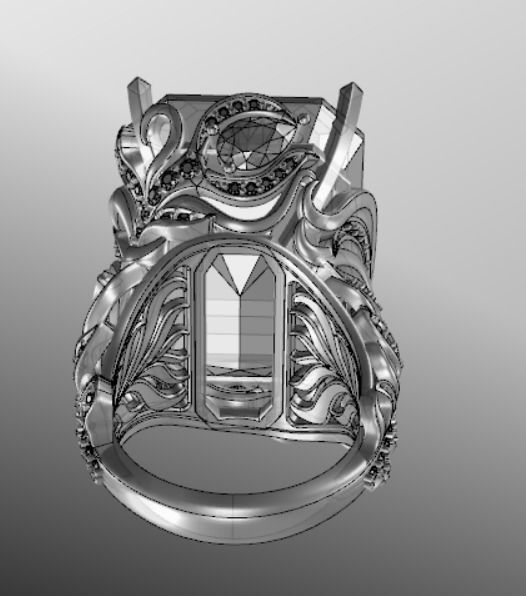 Ring ak 3 3D print model_15