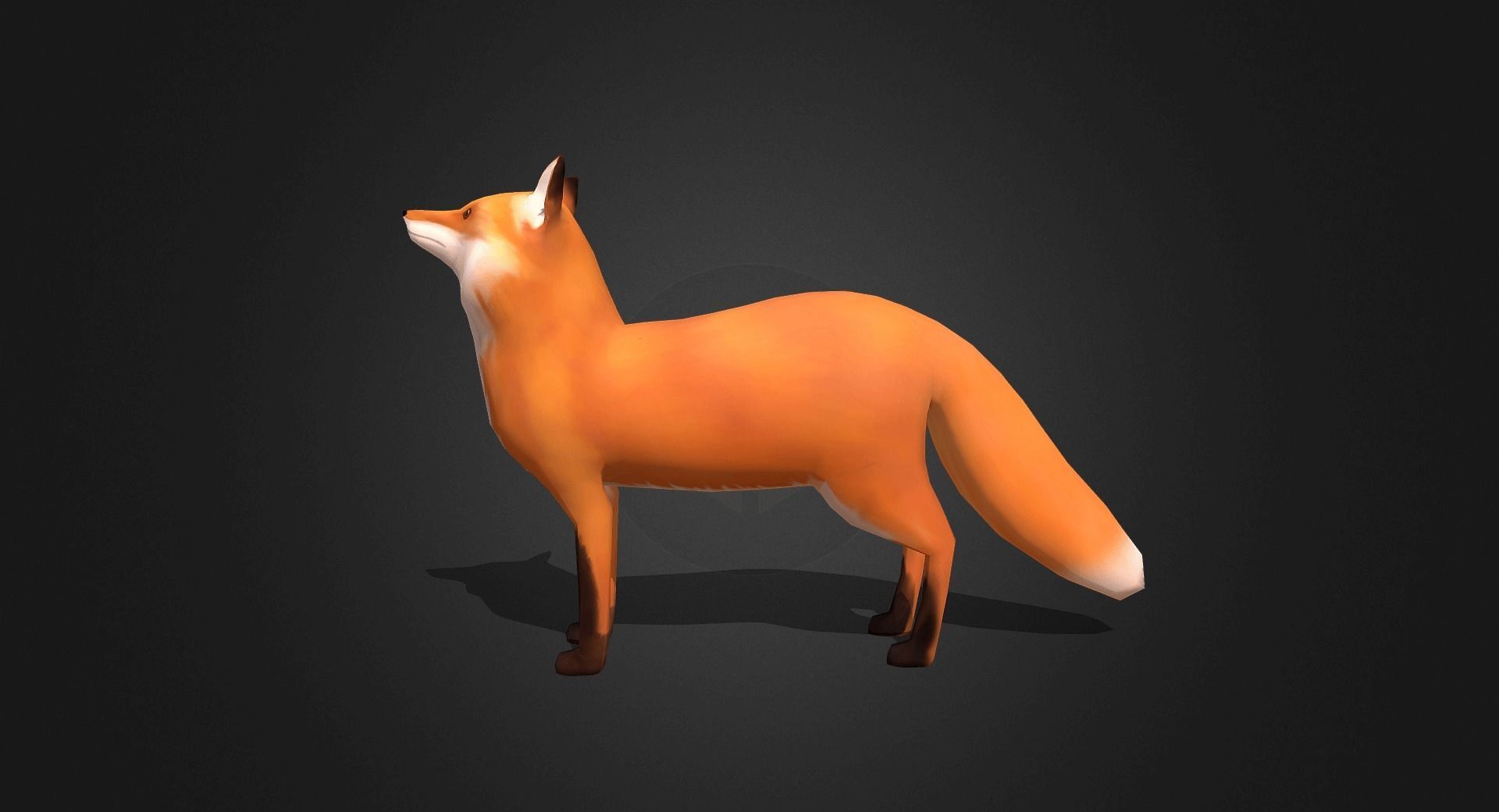 Low Poly Red Fox - Idle Animated Low-poly 3D model_18