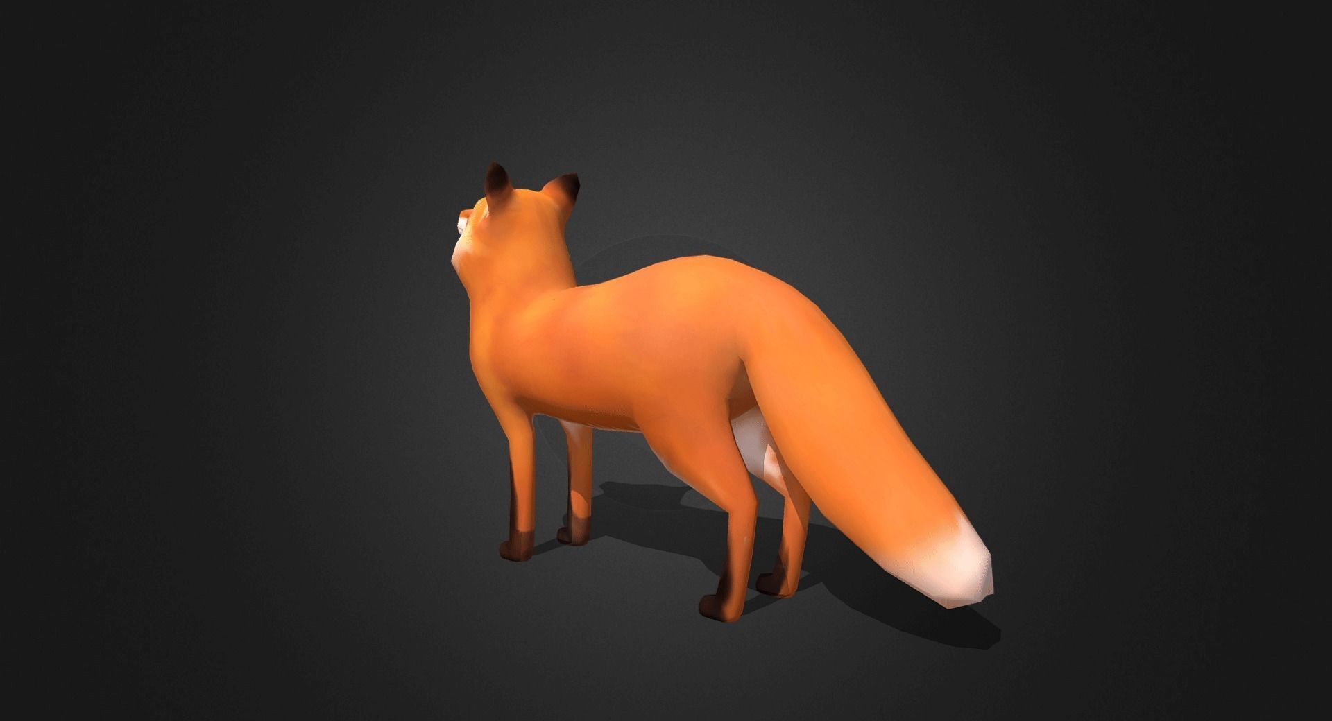 Low Poly Red Fox - Idle Animated Low-poly 3D model_16