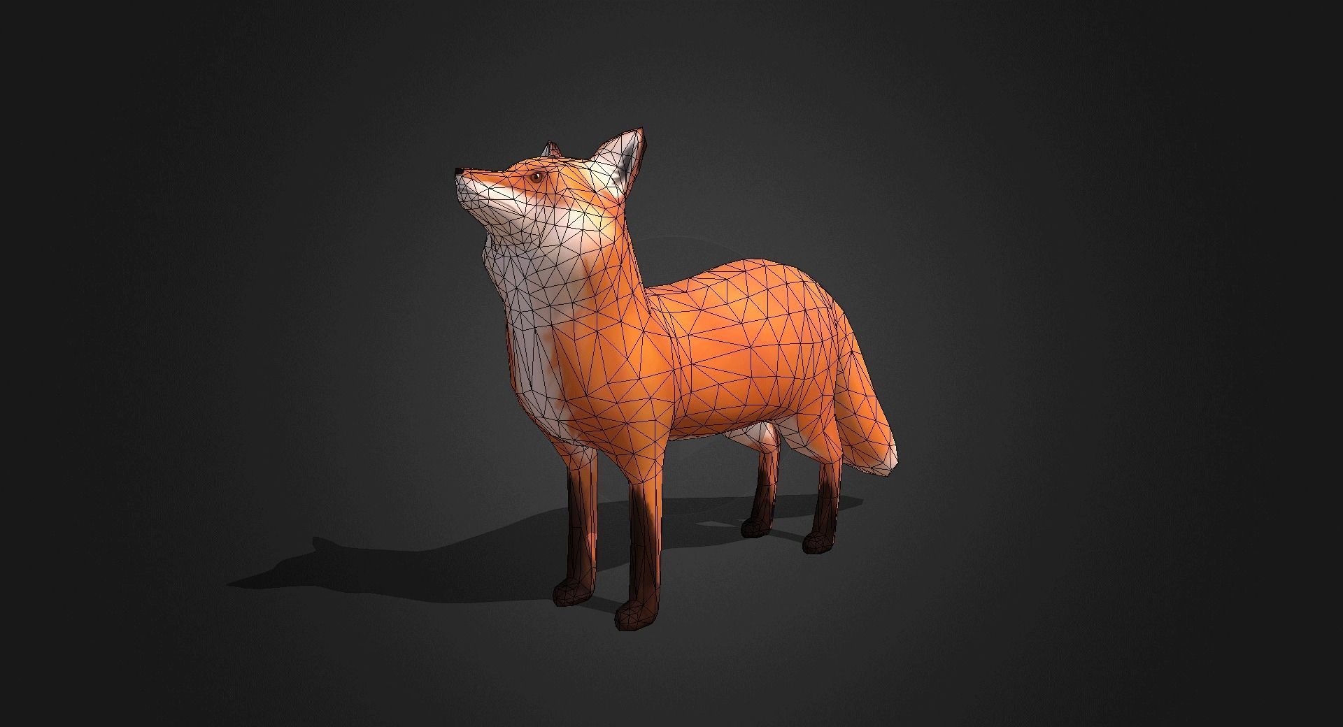 Low Poly Red Fox - Idle Animated Low-poly 3D model_19