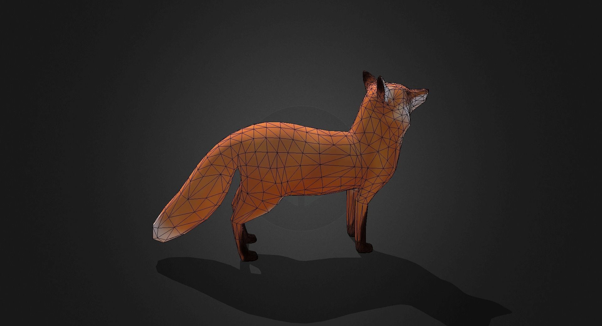 Low Poly Red Fox - Idle Animated Low-poly 3D model_10
