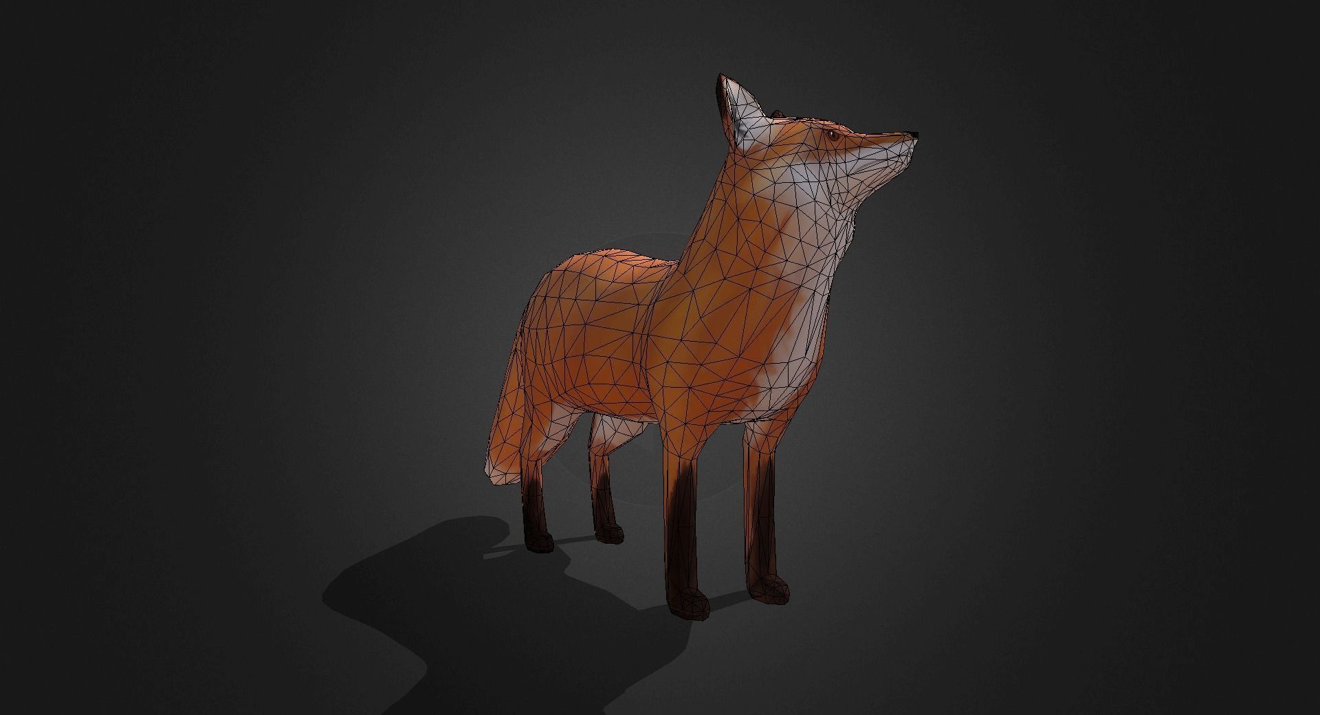 Low Poly Red Fox - Idle Animated Low-poly 3D model_13
