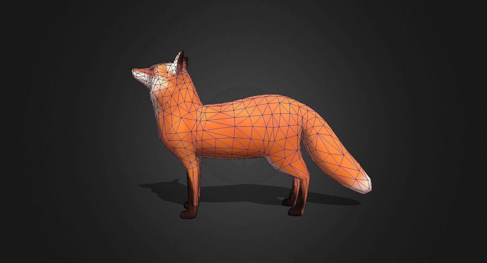 Low Poly Red Fox - Idle Animated Low-poly 3D model_17