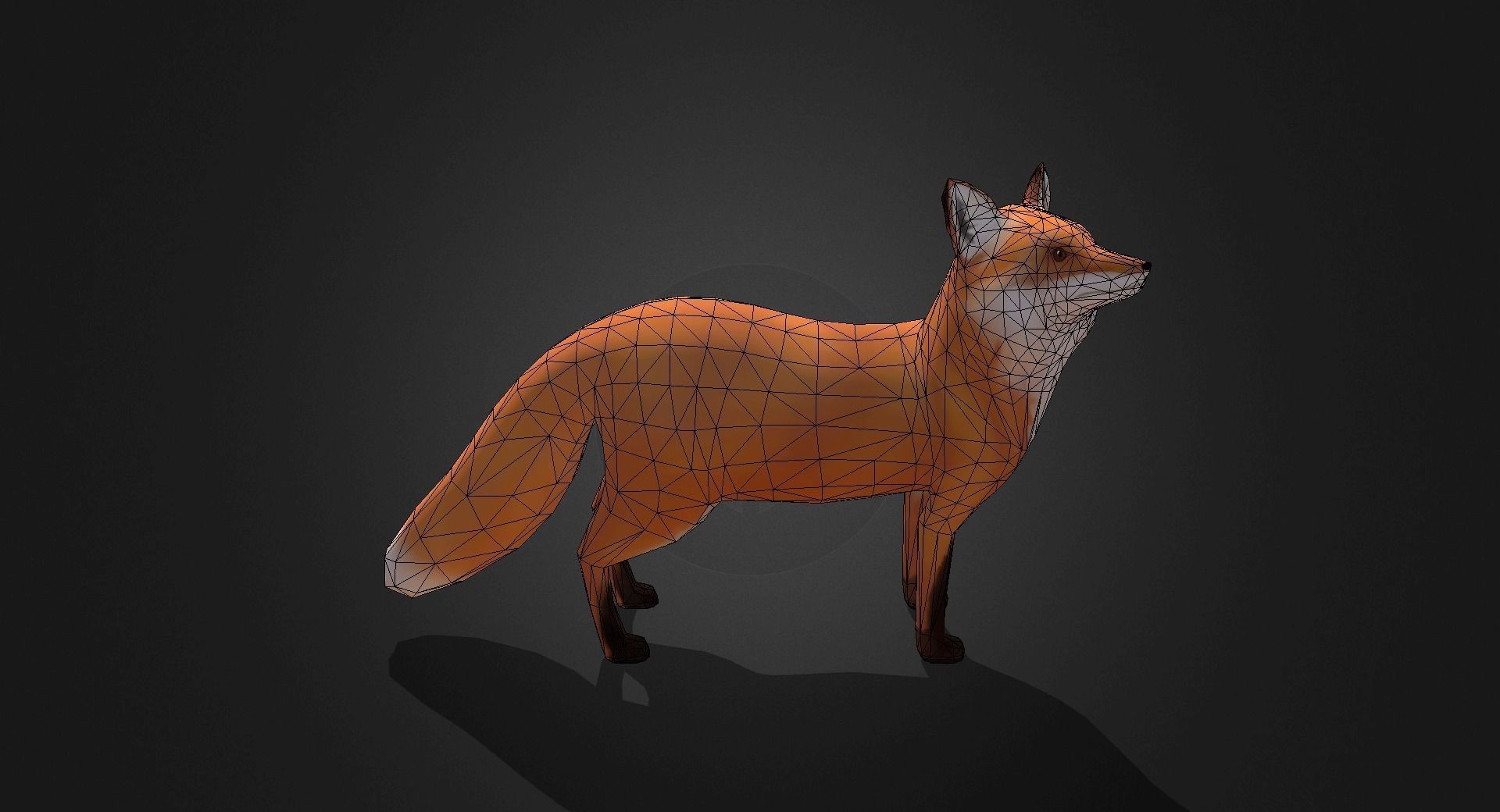 Low Poly Red Fox - Idle Animated Low-poly 3D model_12
