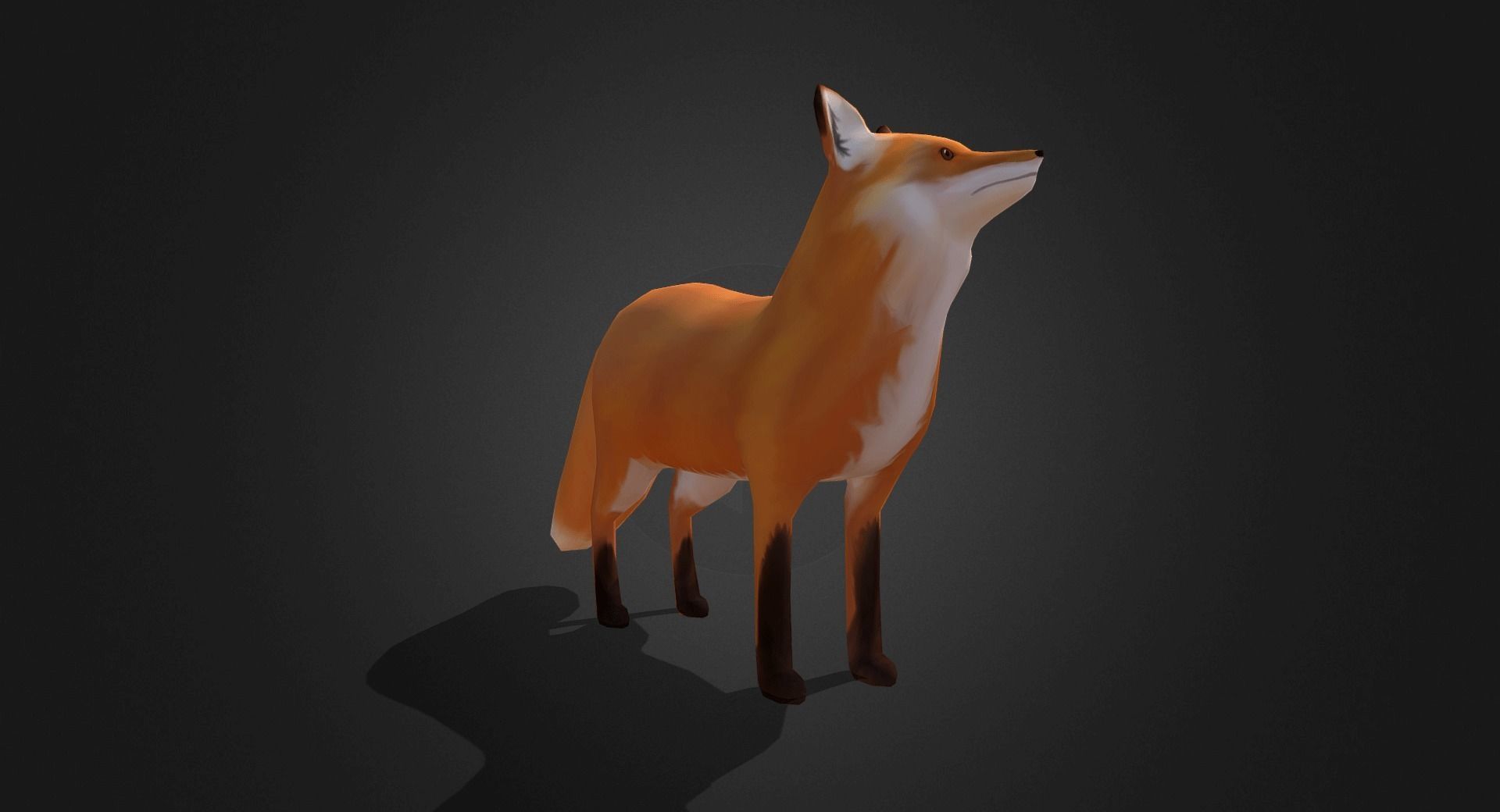 Low Poly Red Fox - Idle Animated Low-poly 3D model_11