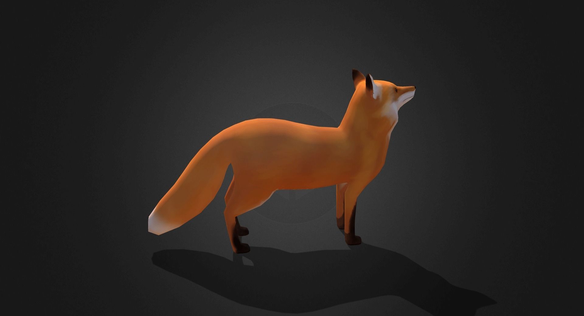 Low Poly Red Fox - Idle Animated Low-poly 3D model_14