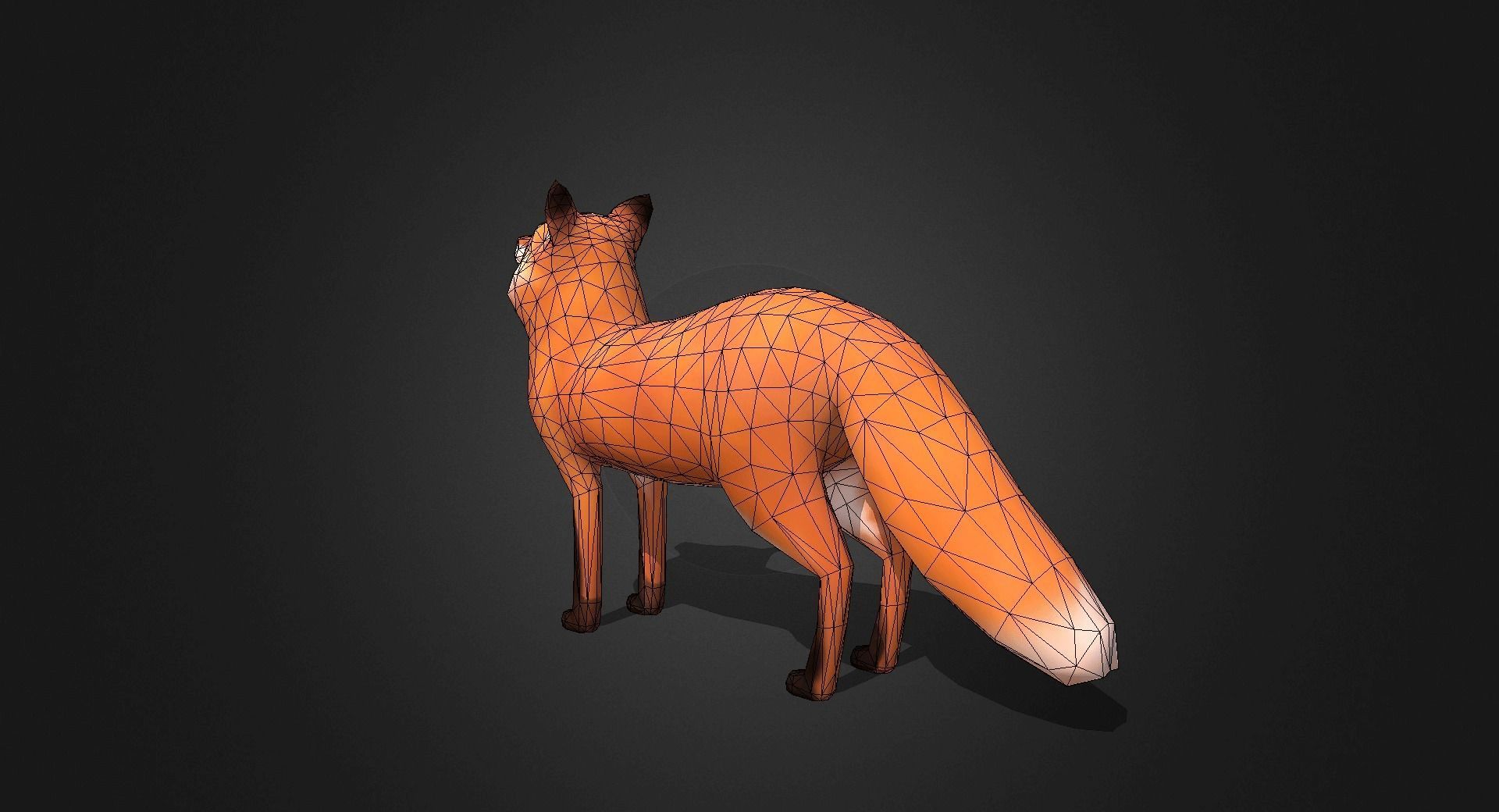 Low Poly Red Fox - Idle Animated Low-poly 3D model_15