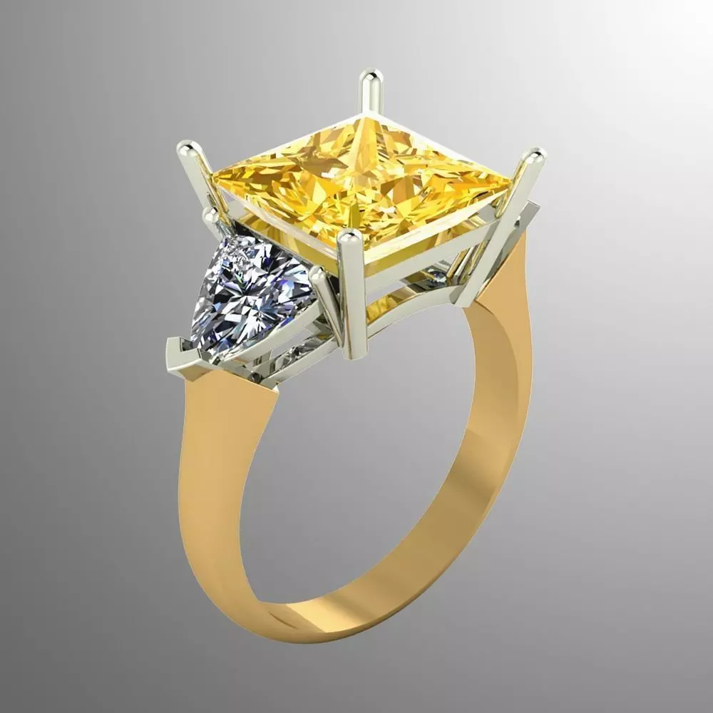 Ring ak 7 3D print model_0