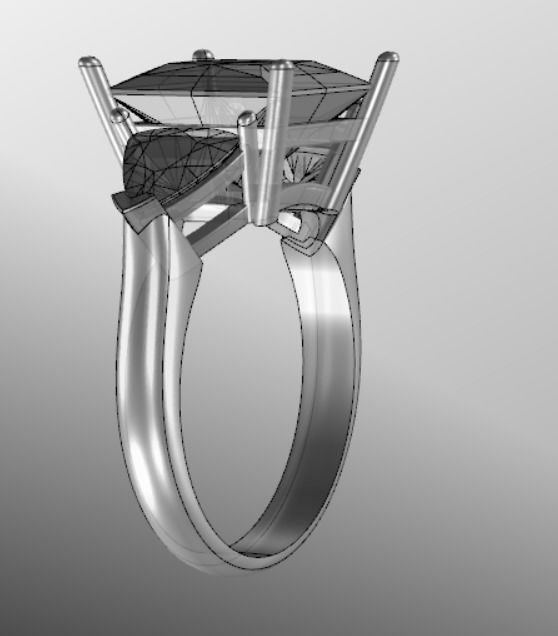 Ring ak 7 3D print model_19