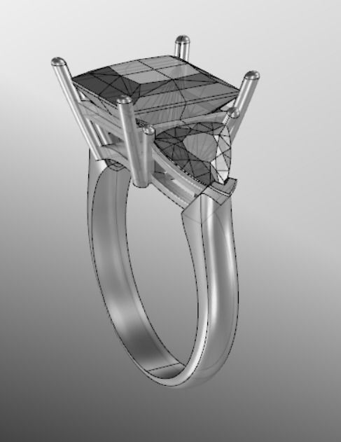 Ring ak 7 3D print model_16