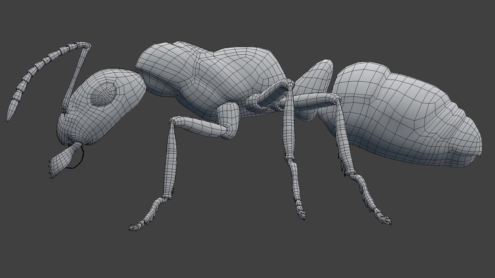 Ant Model Low-poly 3D model_13