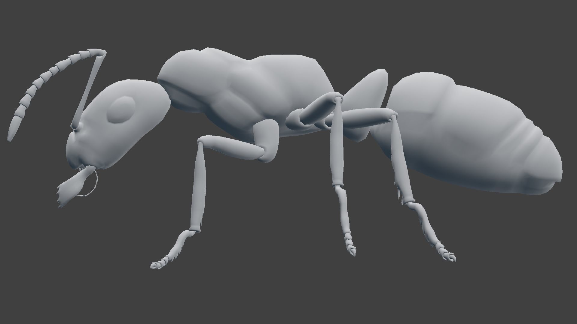 Ant Model Low-poly 3D model_12