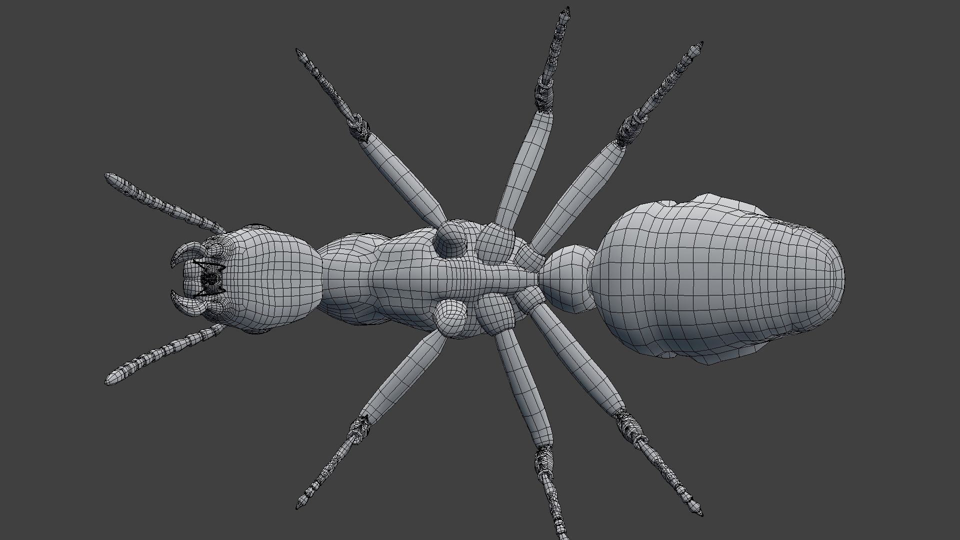 Ant Model Low-poly 3D model_6