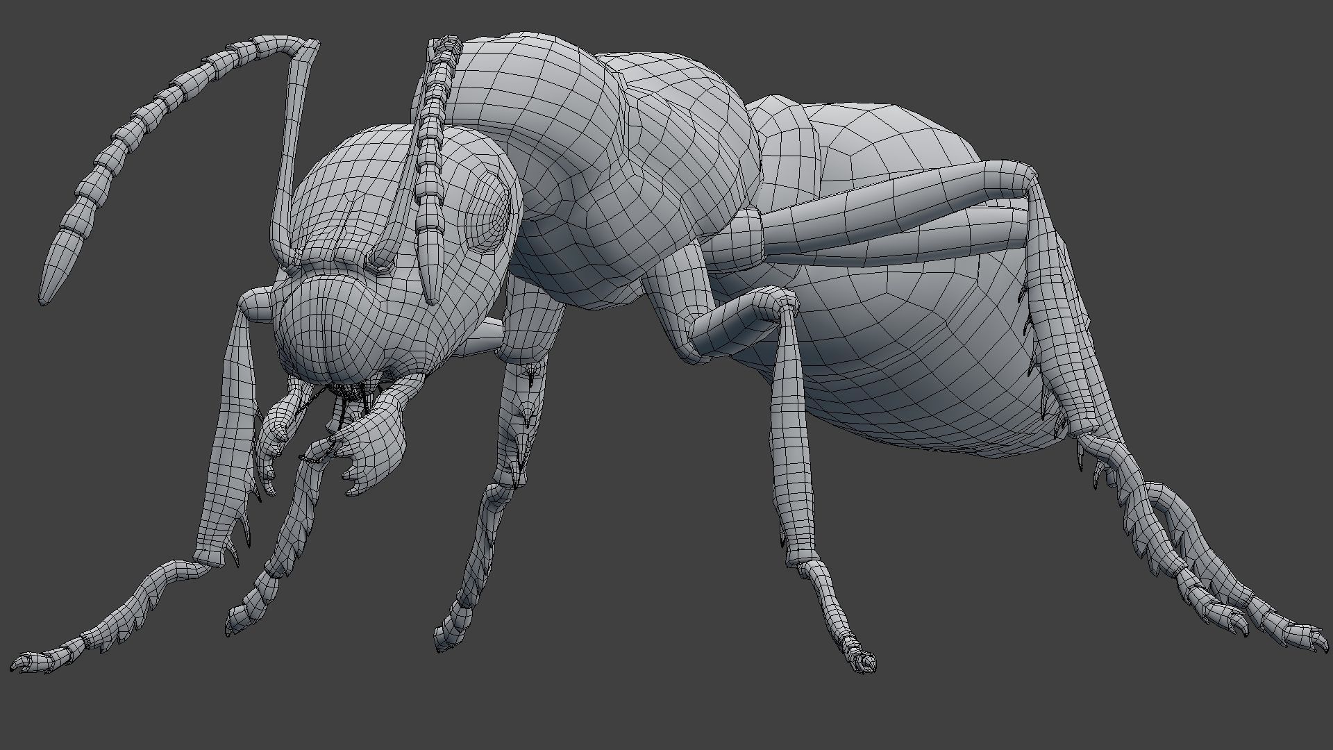 Ant Model Low-poly 3D model_11