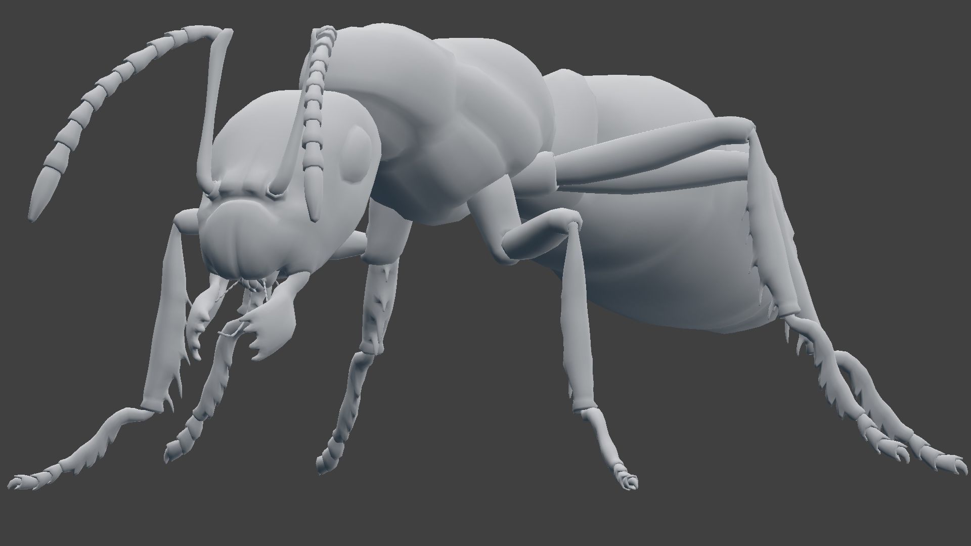 Ant Model Low-poly 3D model_10