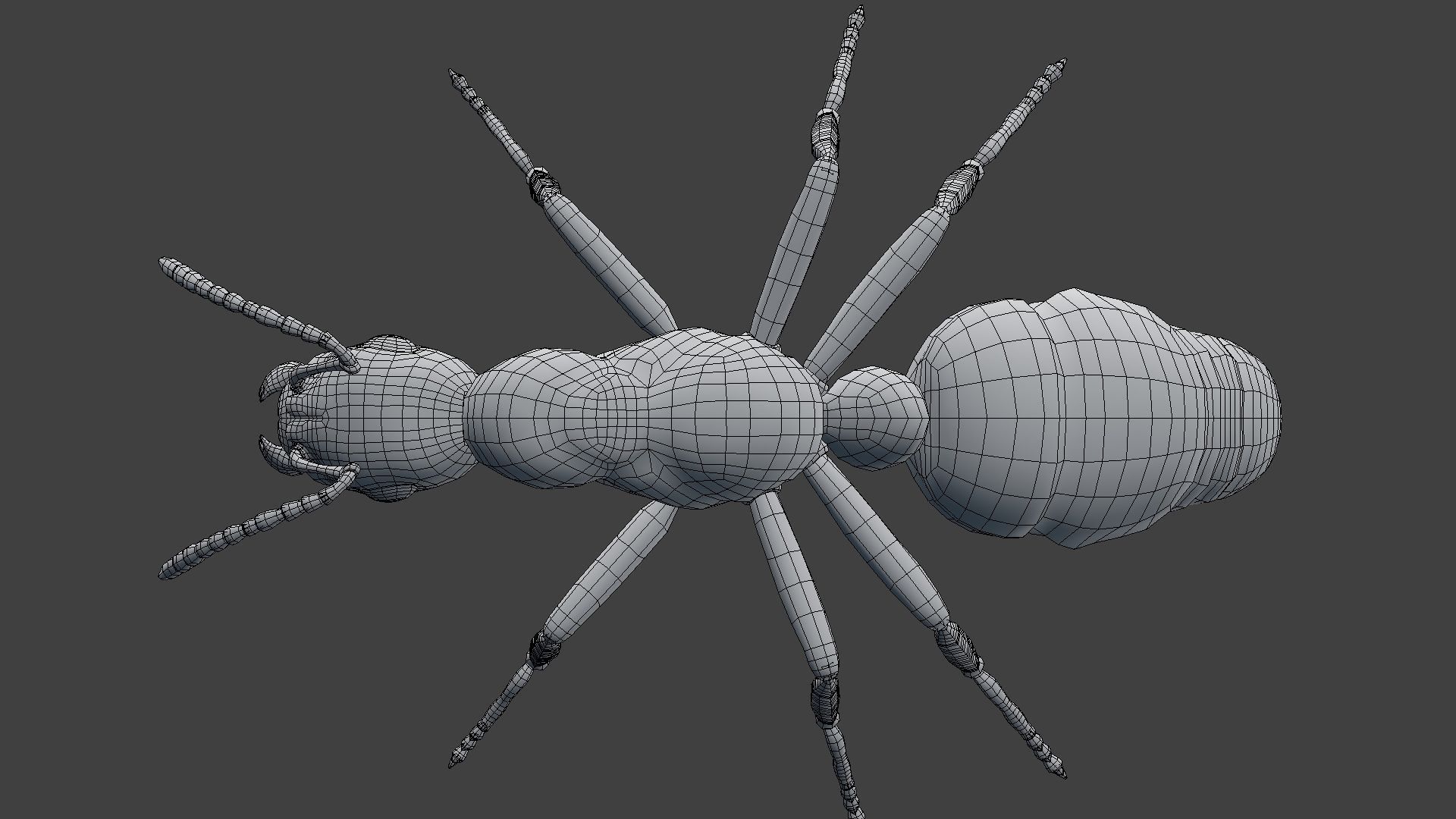 Ant Model Low-poly 3D model_4