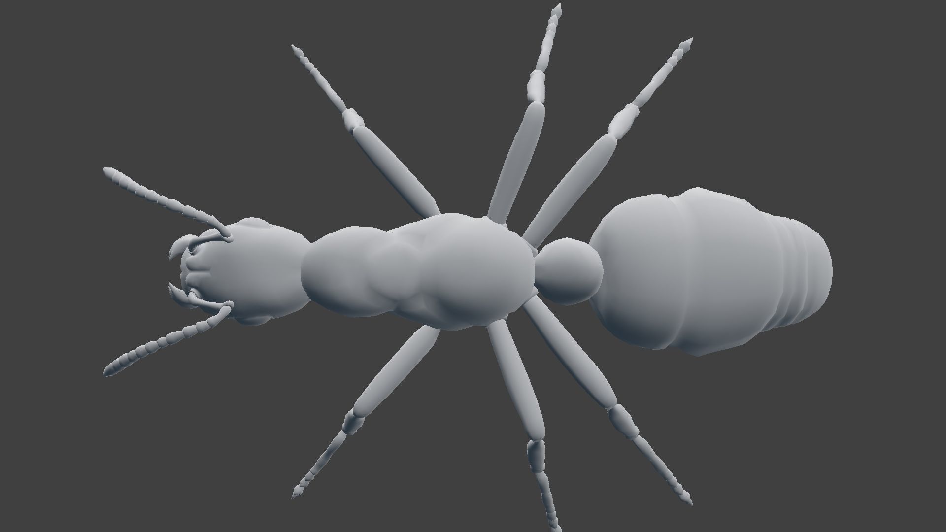 Ant Model Low-poly 3D model_3