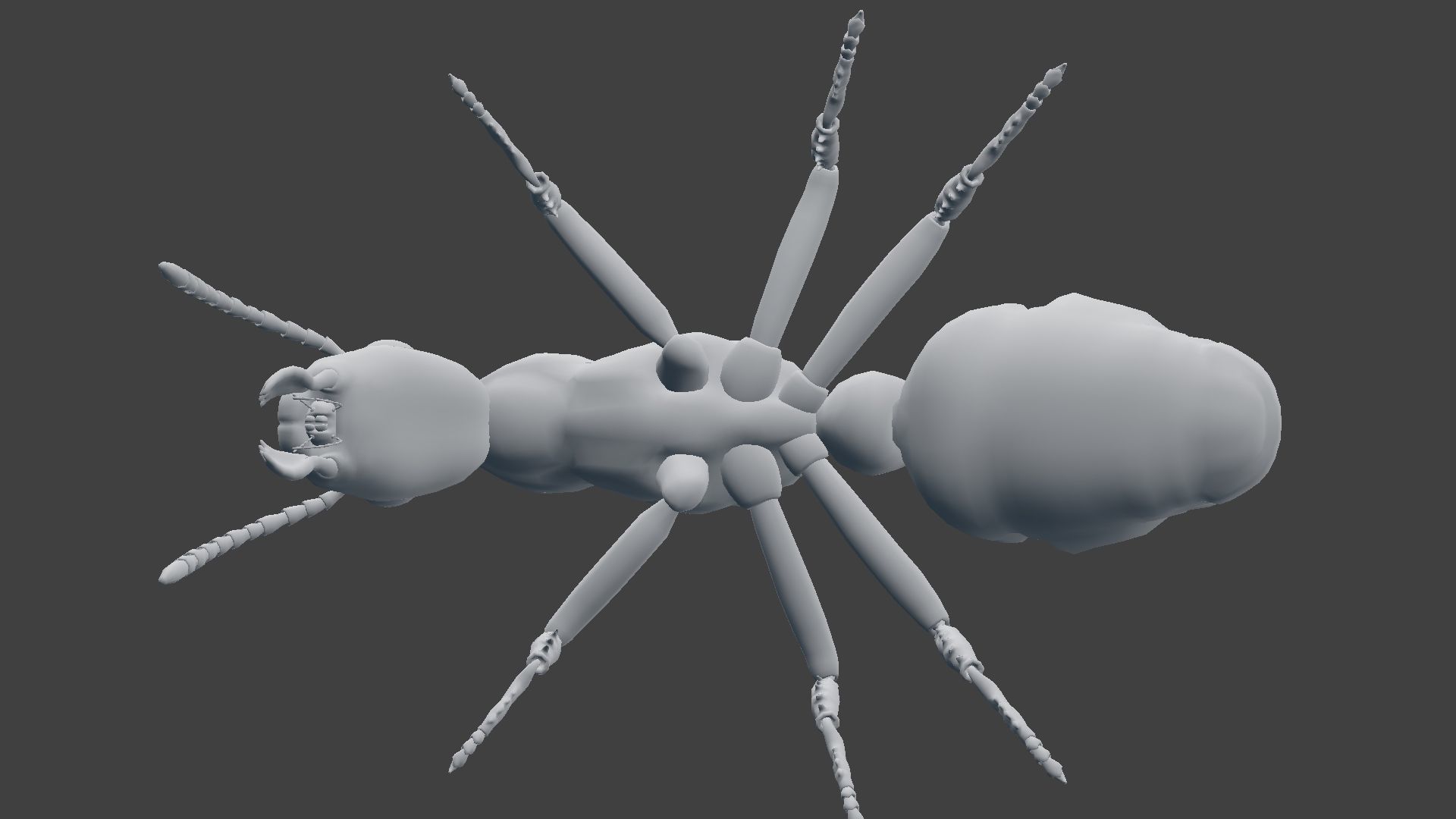 Ant Model Low-poly 3D model_5