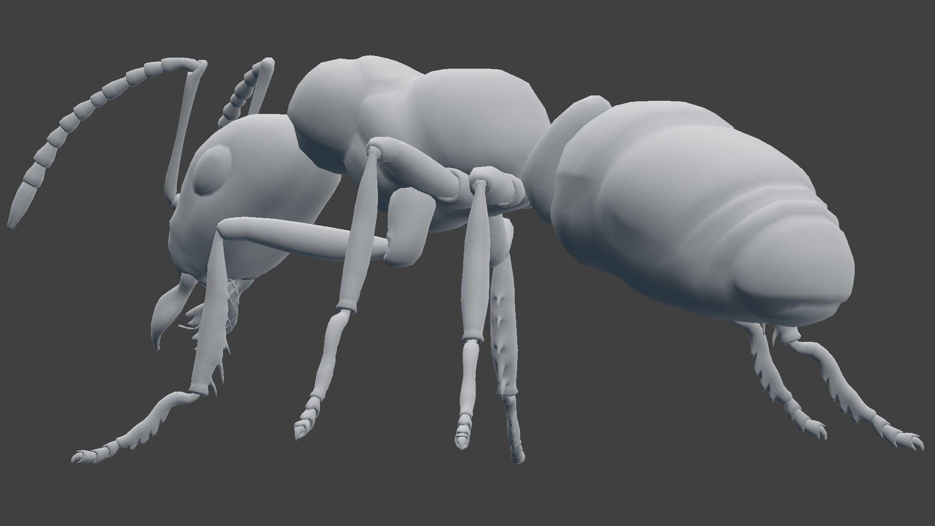Ant Model Low-poly 3D model_14