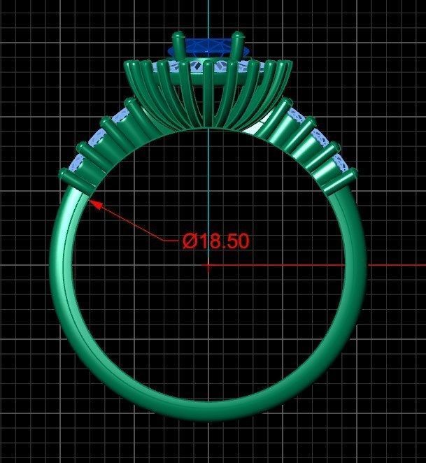 Ring akr 4 3D print model_6