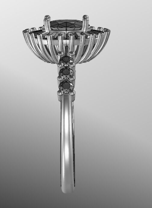 Ring akr 4 3D print model_17