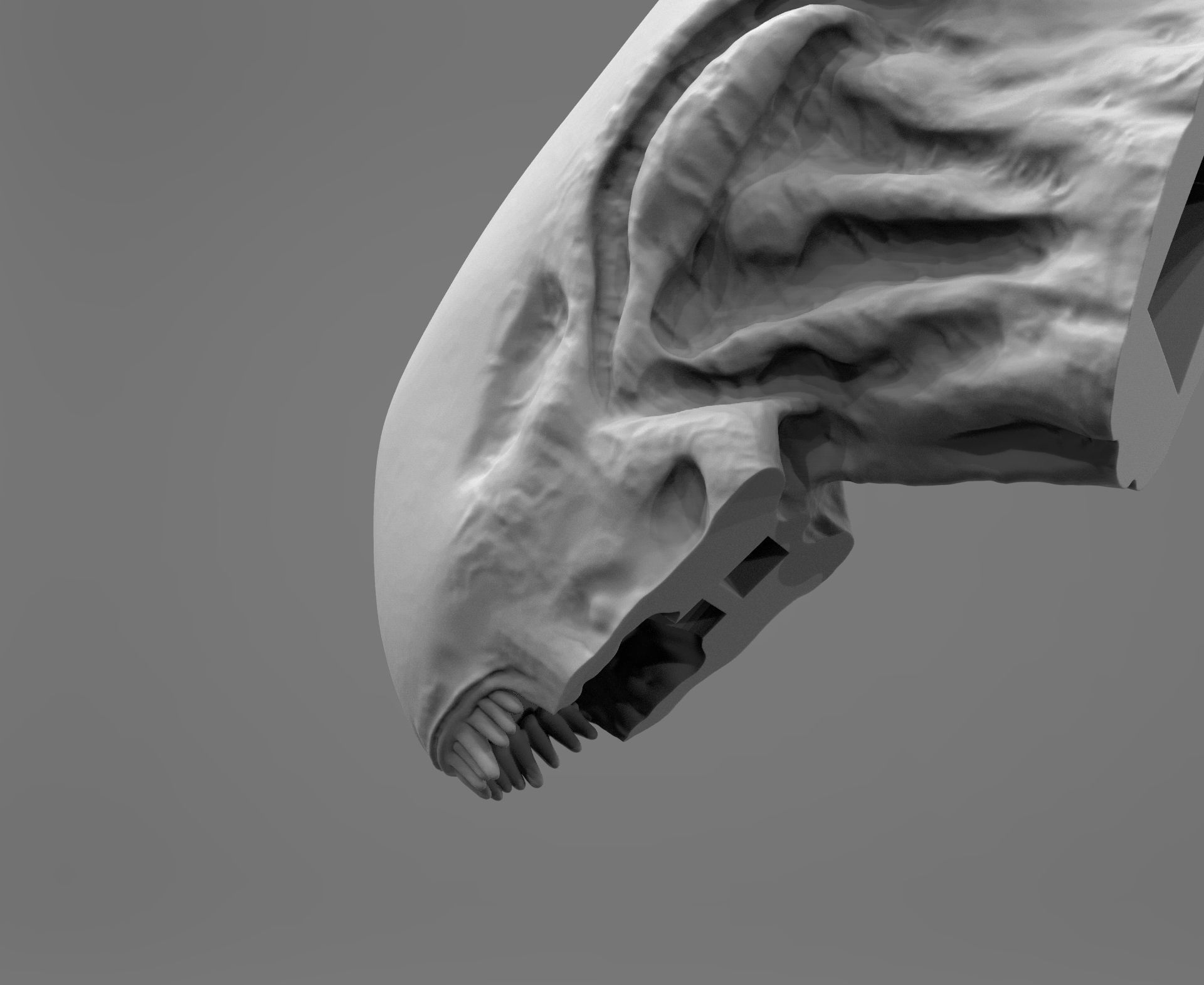 Alien Xenomorph Head Inner Mouth Inside Accessory   3D print model_8