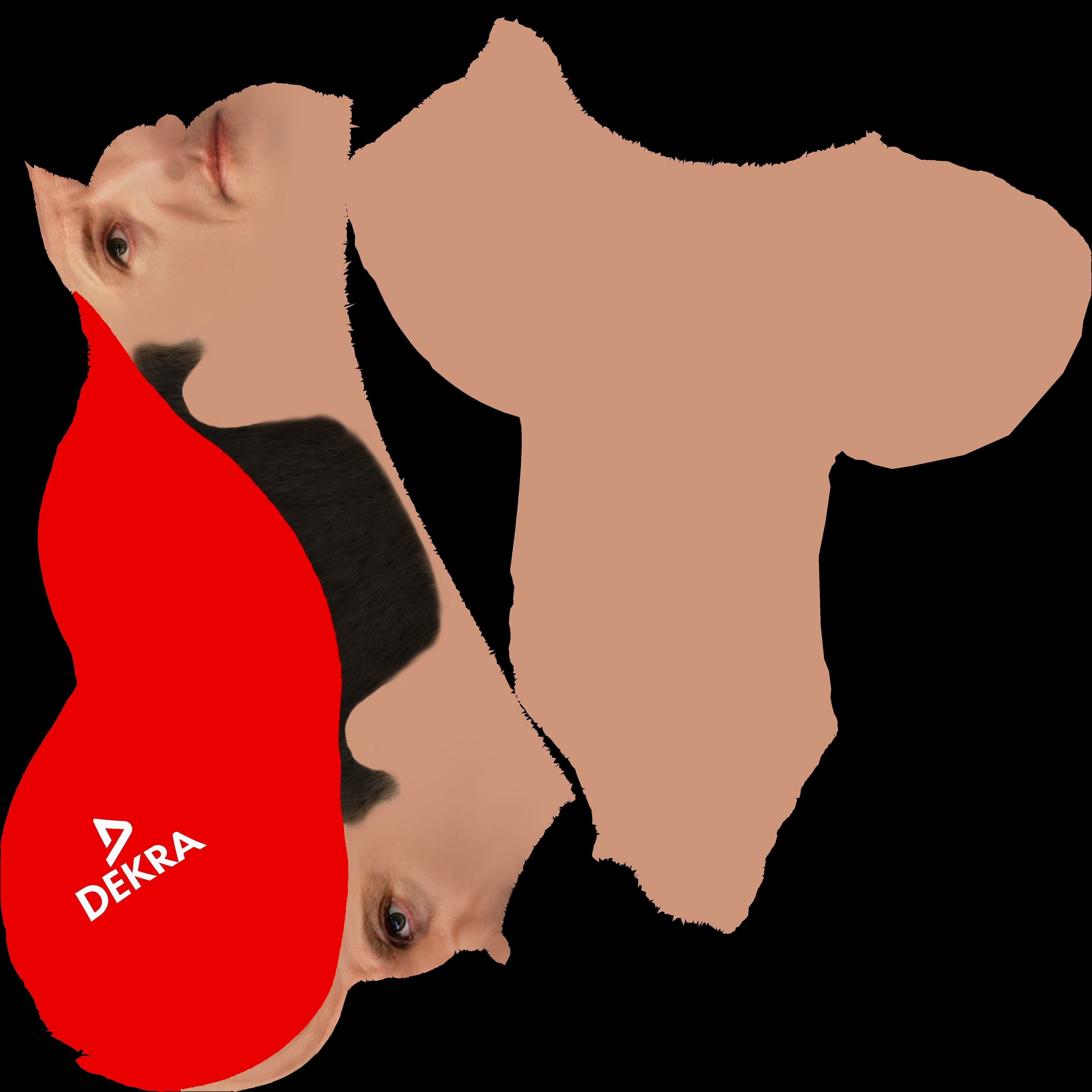 Michael Schumacher 3D model_23