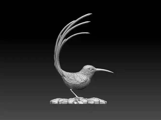 colibri humming bird 3D print model