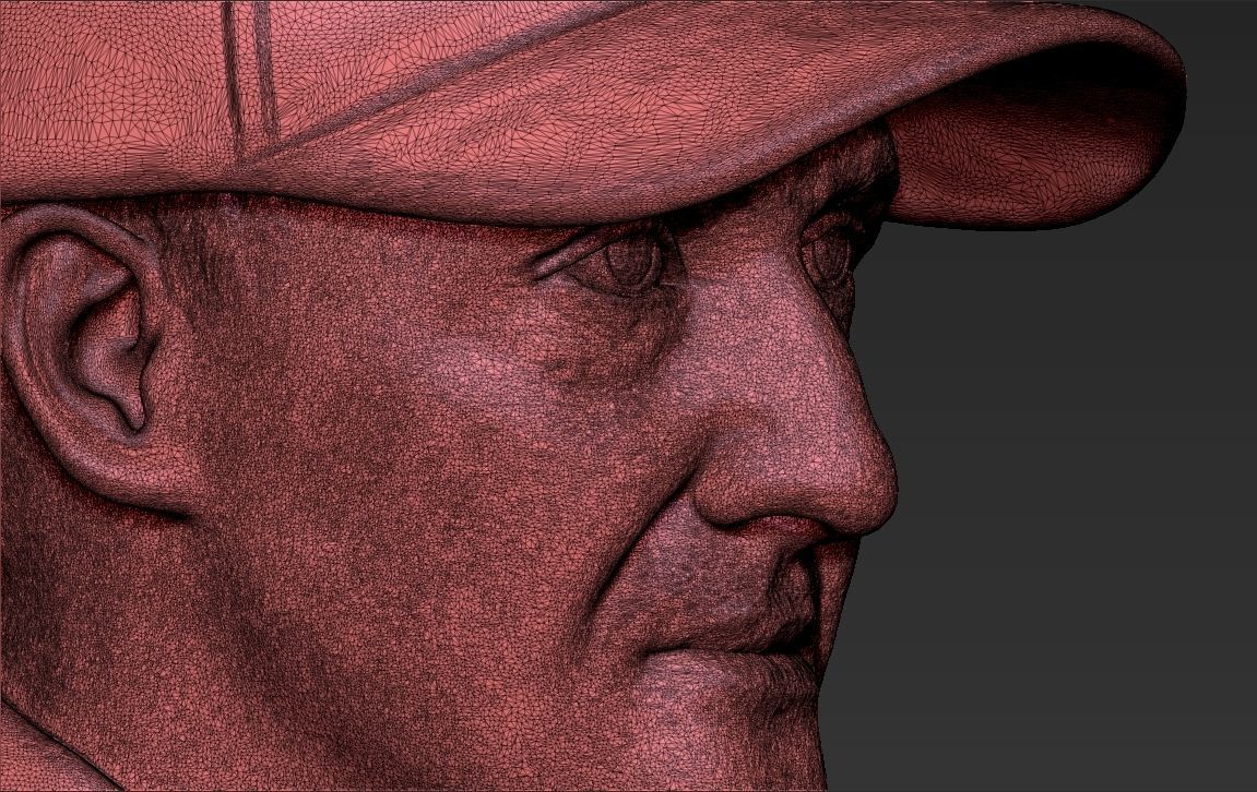 Michael Schumacher bust ready for full color 3D printing 3D print model_52